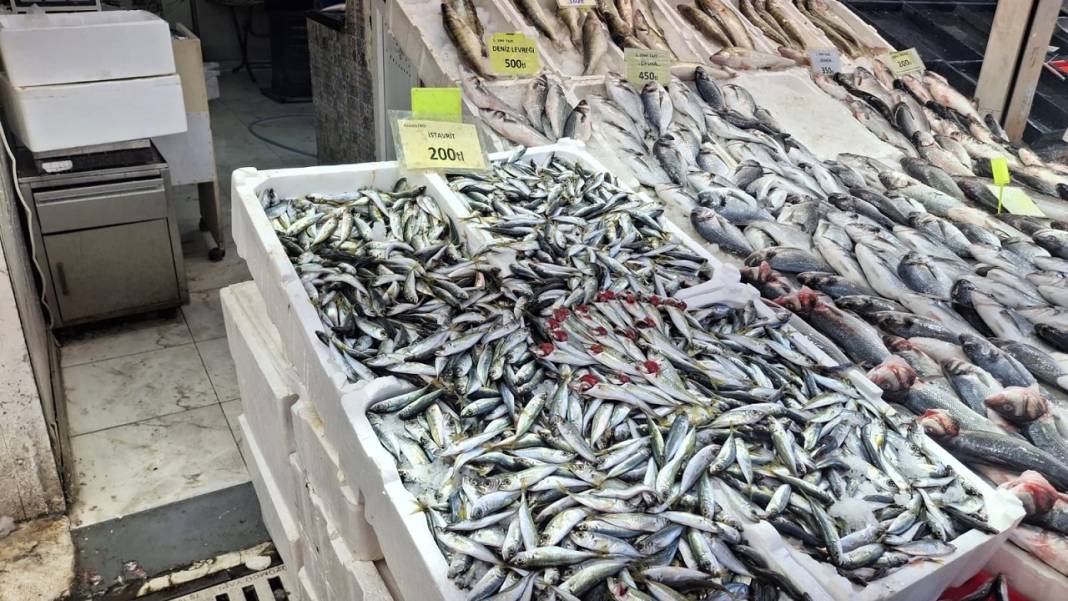 Konya’da balık çok ilgi yok! İşte Konya’da güncel balık fiyatları… 9